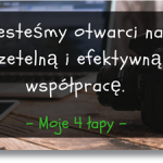 Cennik działań marketingowych współpraca z blogiem o zwierzętach